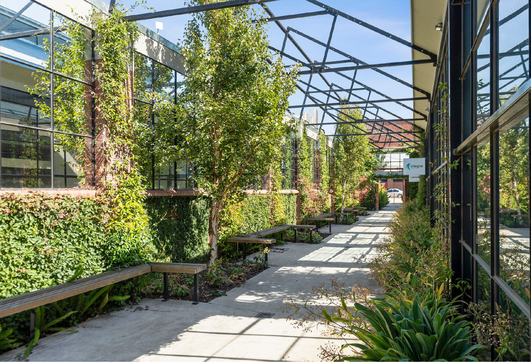 Open air walk way surrounded by lush green plants and trees, black exposed trusses above, red brick walls filled with tbar windows on the left and a full window wall on the right, Hamilton Group Construction