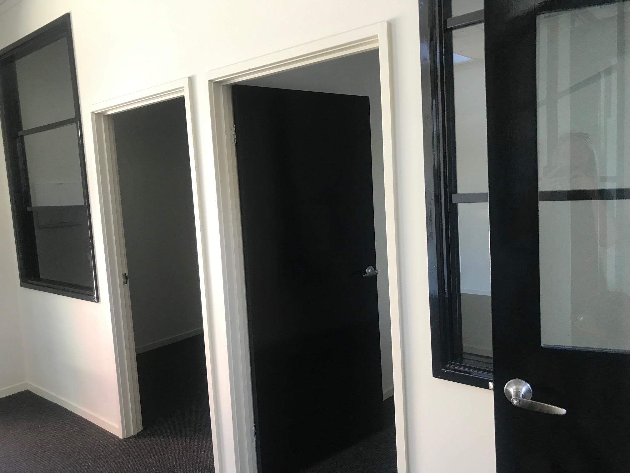 Two door openings with windows either side, situated on a white wall and dark carpet on the floor - Hamilton Group