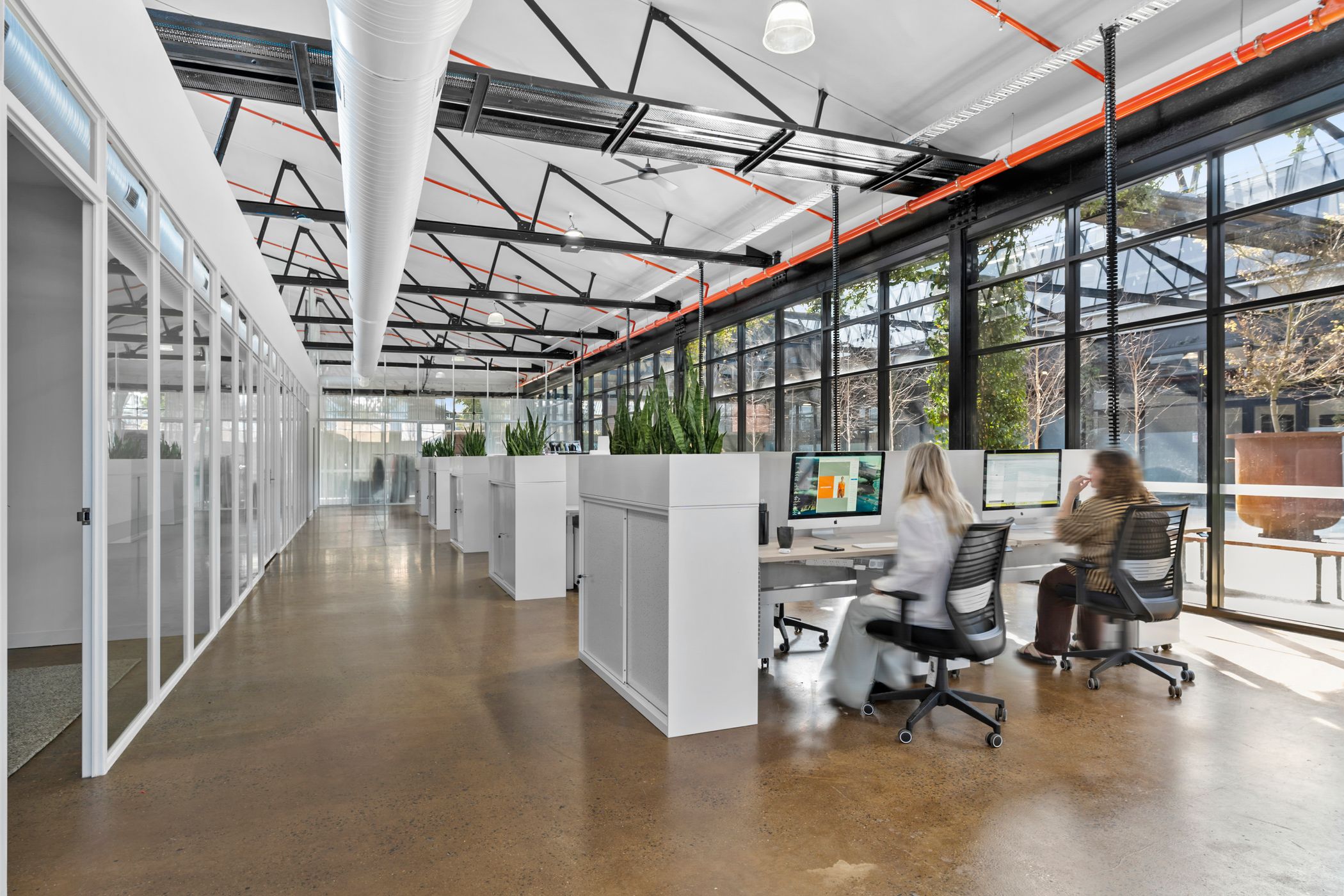 Long office space with multiple double desks running up the centre, each set of desks features some plants to add some life, running down the left side is a tbar window wall separating small office spaces, Hamilton Group Geelong