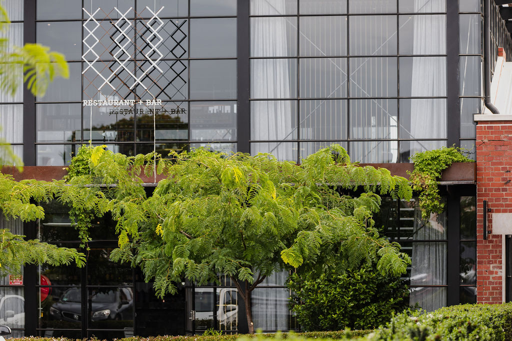 A lush outdoor gathering space in front of a modern glass-fronted building with a sign reading "Woolstores." People are socializing in small groups, dressed in casual and semi-formal attire, with drinks and food on tables. The area is surrounded by greenery, including trees, bushes, and hanging plants. The setting has a relaxed and welcoming atmosphere.