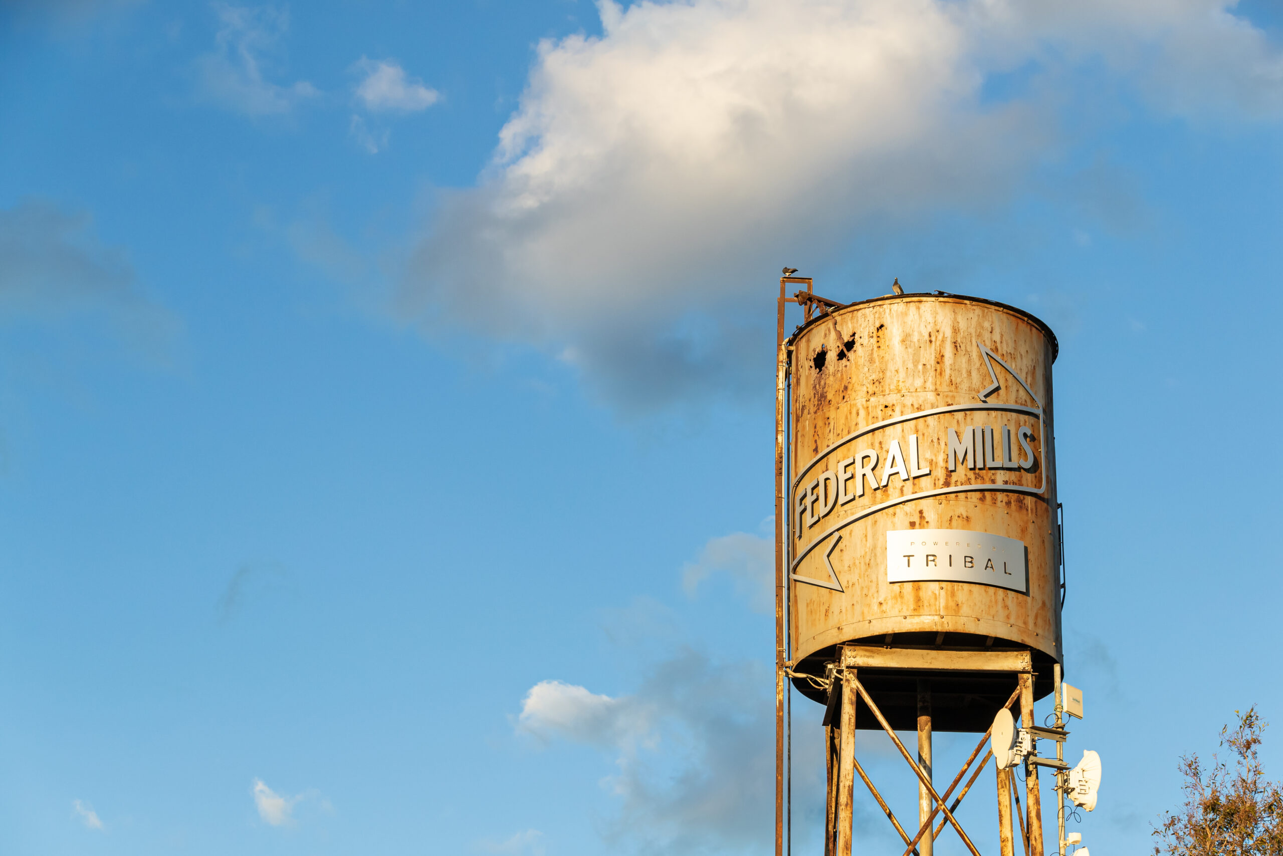 Lone water tower stands tall in the air, it has large rust holes and old looking ladder connected to the side and a "Federal Mills" banner across the front, birds are resting on top, Hamilton Group Geelong