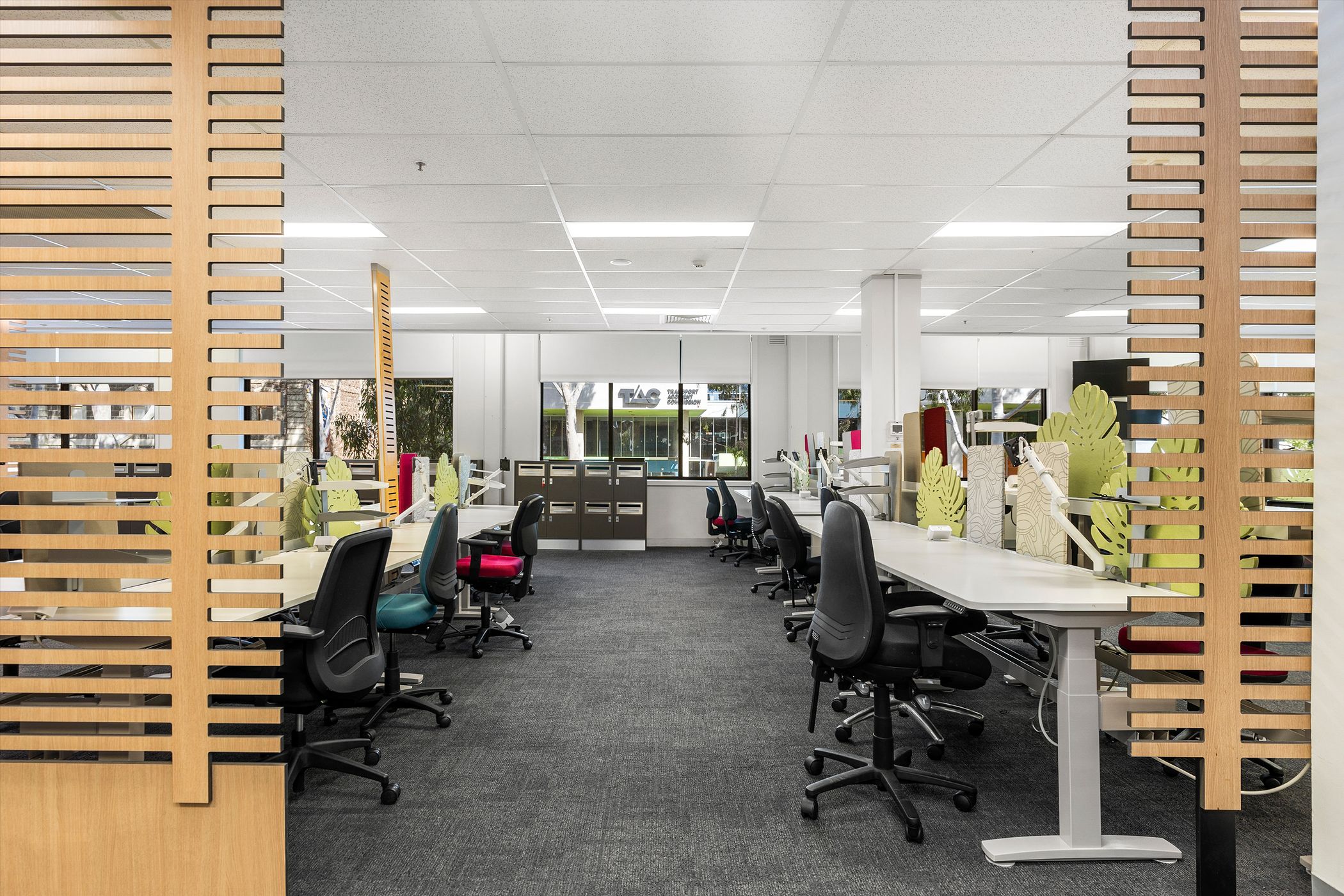 This image shows a modern open-plan office space with multiple white desks arranged in rows, each equipped with black ergonomic office chairs. The desks are separated by decorative green dividers with leaf-shaped cutouts. The floor is carpeted in dark grey, and the ceiling features a grid of white acoustic tiles with recessed lighting. Large windows in the background allow natural light to enter, showing a view of trees and a building outside. Wooden slatted partitions partially frame the office space, adding a touch of warmth to the modern design.